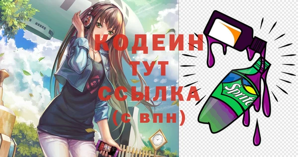 соль ск Абаза