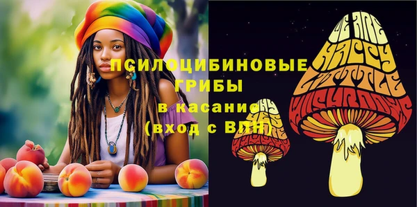 герыч Алзамай
