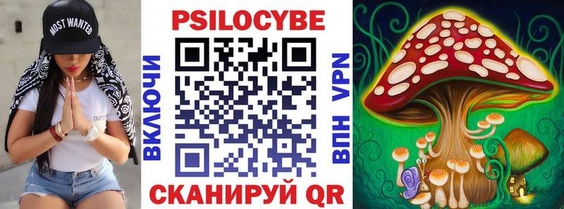 Псилоцибиновые грибы GOLDEN TEACHER  цены   Моршанск 