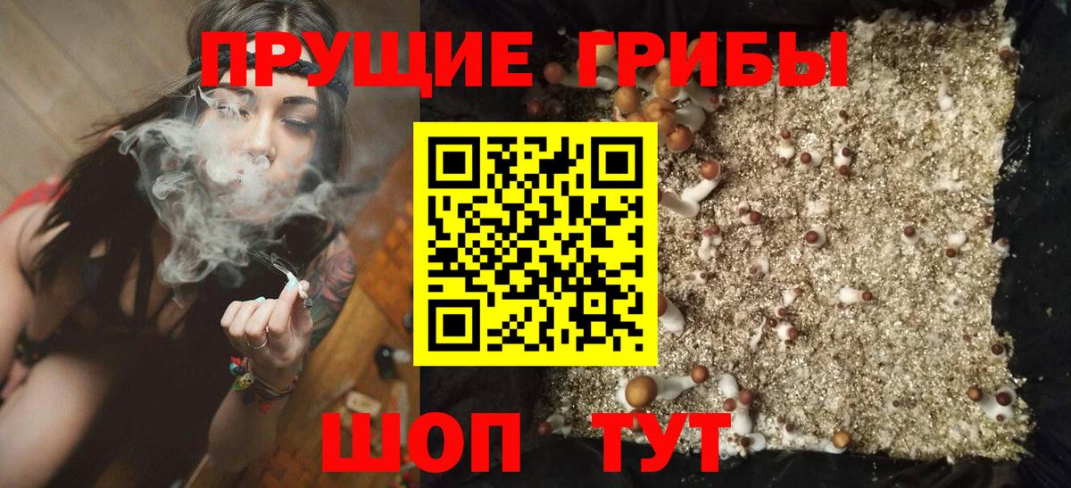 Псилоцибиновые грибы Psilocybe  Вход с VPN  Моршанск  где купить наркотик  Галлюциногенные грибы ЛСД 